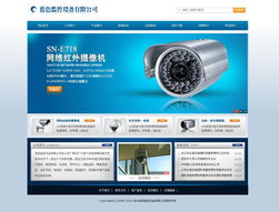 專業、高效、經濟 企業網站的快速搭建方案